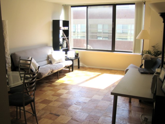 Prime Location in Dupont Circle. Spacious sunlight-filled studio in the heart of downtown: Large east-facing windows, hardwood floors, updated kitchen and bath, large walk-in closet, 24-hr desk, beautiful roof deck with pool; near stores, restaurants, parks, and gyms; half-block from Dupont Metro and Georgetown shopping shuttle