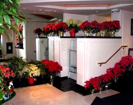 The Lauren lobby and flowers